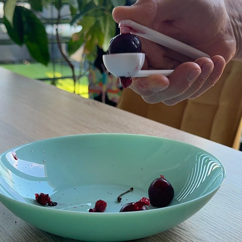 Descorazonador de cerezas impr - Kitchen Gadgets To 3D Print reseña y precio